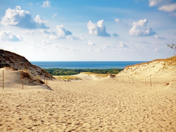 Куршская коса в вашем ритме - фото 3
