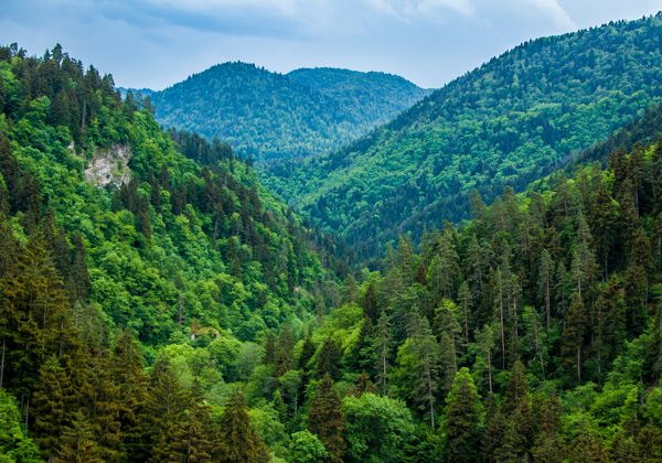 Легендарные места Грузии: Боржоми, Вардзиа, Рабати - фото 2