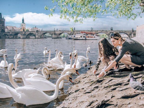 Душевная фотопрогулка по утренней Праге - фото 2