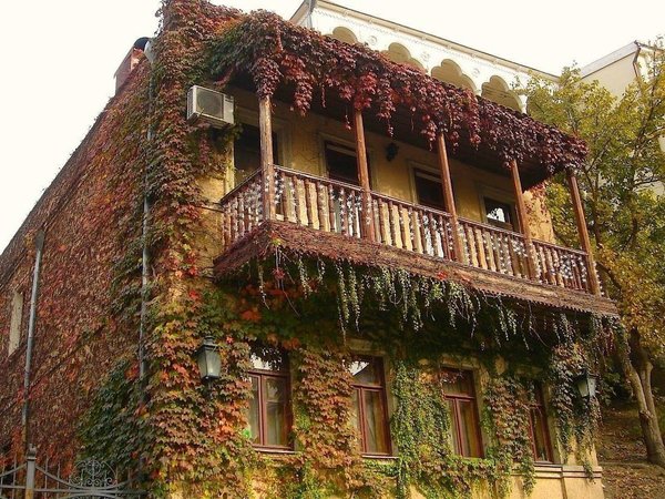 Адреса любви в Тбилиси - фото 3