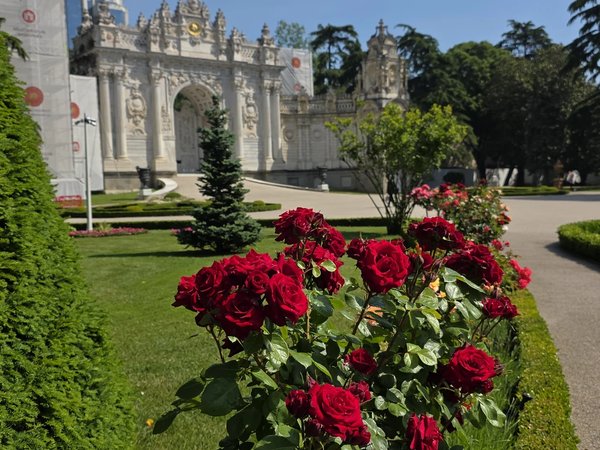 Долмабахче и Босфор: великолепие Османской империи - фото 1