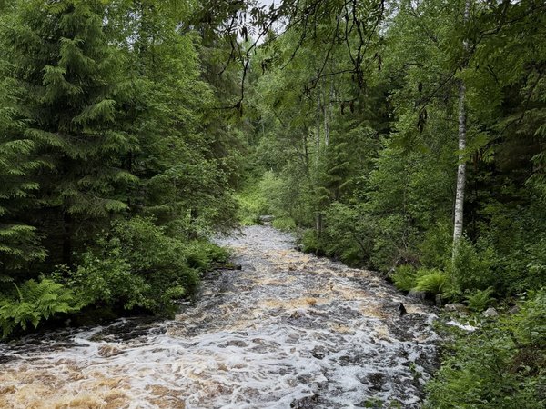 В Северное Приладожье из Петрозаводска: карельские гранаты, водопад и парк «Ристиярви» - фото 3