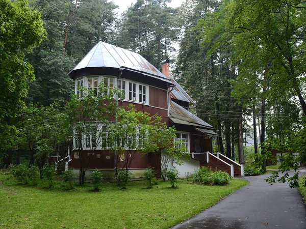 Переделкино между строк (в группе)
