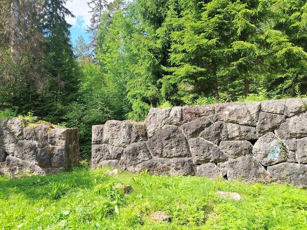 Зелёное кольцо Суур-Мерийоки: разрушенная усадьба в черте Выборга - фото 2