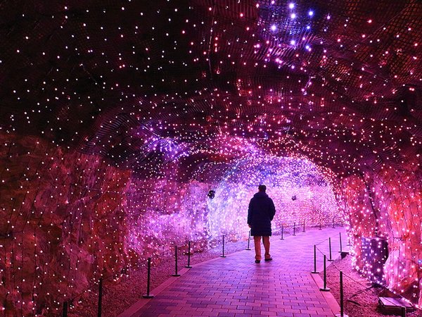 Грандиозная винная пещера и взгляд на Северную Корею (из Сеула) - фото 2