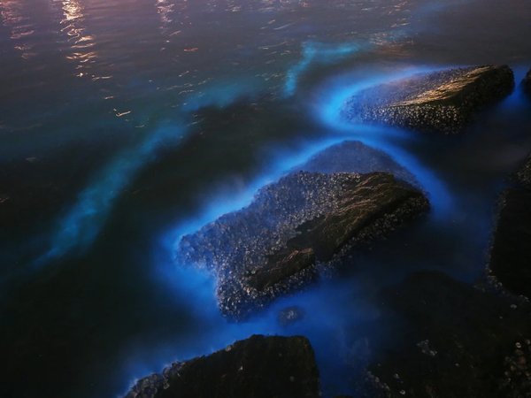 Чудеса Пхукета: от Белого храма до светящегося моря - фото 3