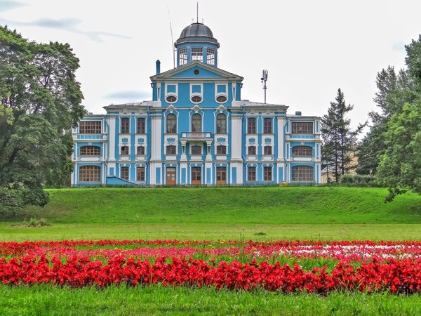 Пешком к Финскому заливу. Индивидуальная прогулка - фото 3
