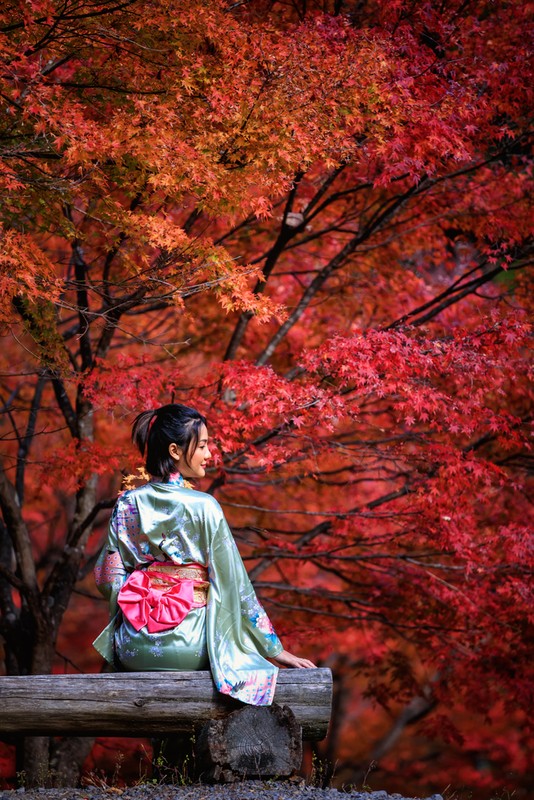 В объятия багряной осени: Япония в сезон красных клёнов