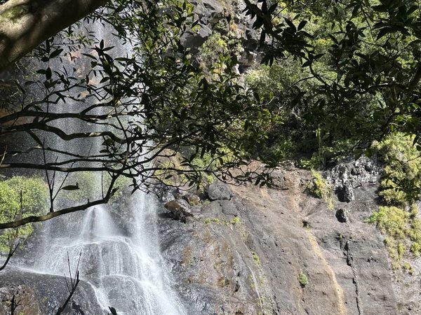 Семь водопадов, чайные плантации и вино из личи - фото 4