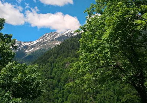 Путешествие по восточной Абхазии: рыбалка, горы и самшитовая роща - фото 2
