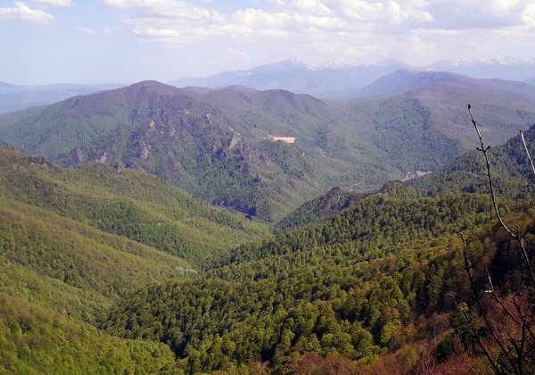 Путешествие по восточной Абхазии: рыбалка, горы и самшитовая роща - фото 4