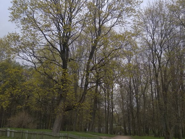 Пешком к Финскому заливу в мини-группе - фото 2