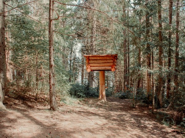 Из Перми — в Хохловку: полное погружение в историю Прикамья - фото 4