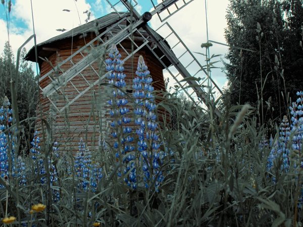 Из Перми — в Хохловку: полное погружение в историю Прикамья - фото 3