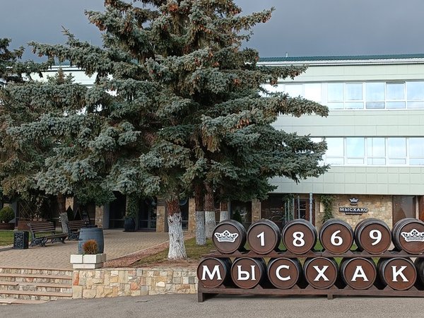 Русская Тоскана: экскурсия по винодельням Краснодарского края - фото 4