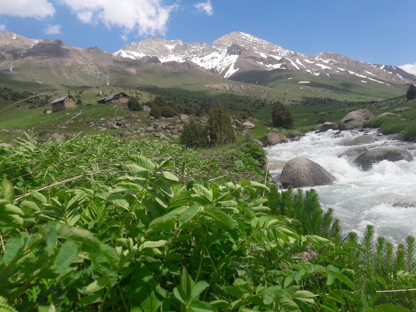 Из Самарканда к истокам: Шахрисабз, плато Дьявола и селение Мираки - фото 3