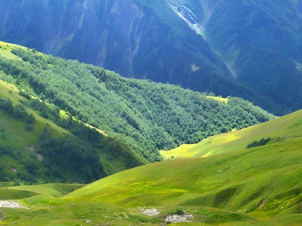 Гомис Мта — путешествие к морю облаков (из Батуми) - фото 4