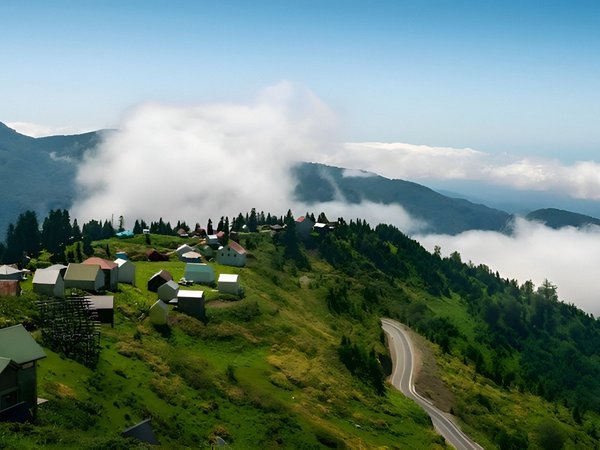 Гомис Мта — путешествие к морю облаков (из Батуми) - фото 2