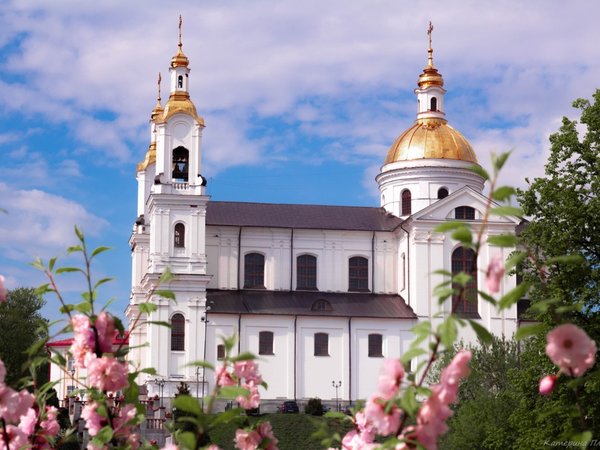 «О времена, о нравы!»: вы в Витебске 1907 года - фото 4