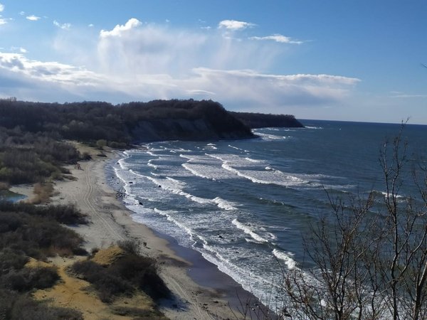 Куршская коса и 2 курорта Балтики за 1 день — из Зеленоградска - фото 4