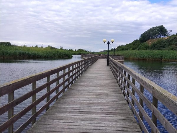 Куршская коса и 2 курорта Балтики за 1 день — из Зеленоградска - фото 1