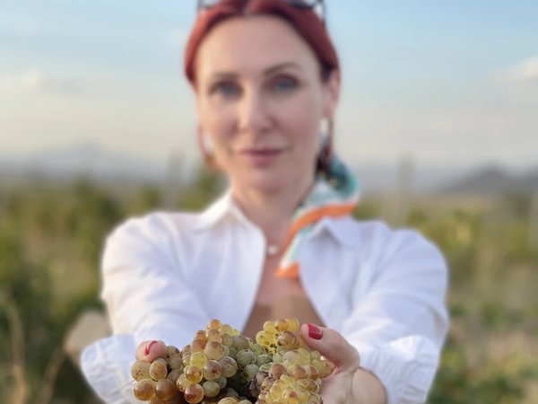 Армения глазами виноделов: сбор урожая и рождение вина - фото 3