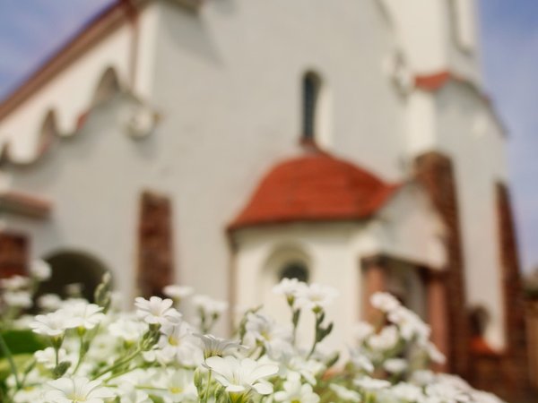 Своей компанией по Поозерью: замки, костёлы, имения - фото 3