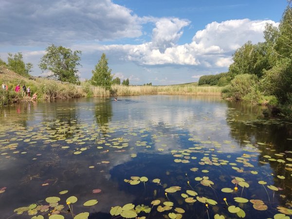 Аркаим — место силы: 2 дня в сердце уральской степи - фото 4
