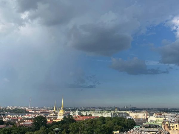 Петербург и его дворы, парадные и смотровая площадка - фото 2
