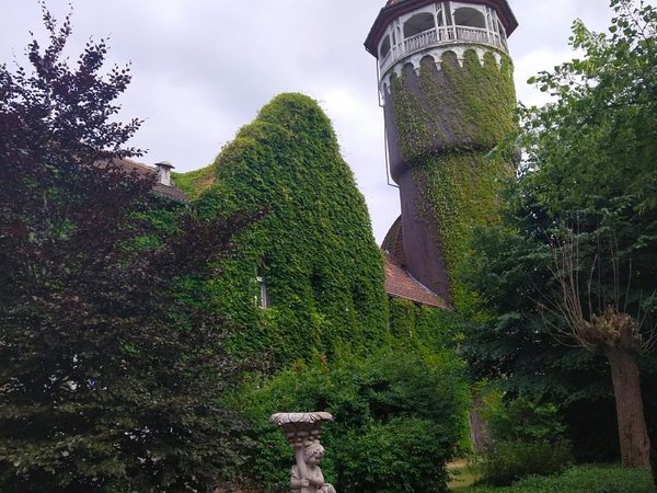 Куршская коса и 2 курорта Балтики за 1 день — из Светлогорска - фото 1