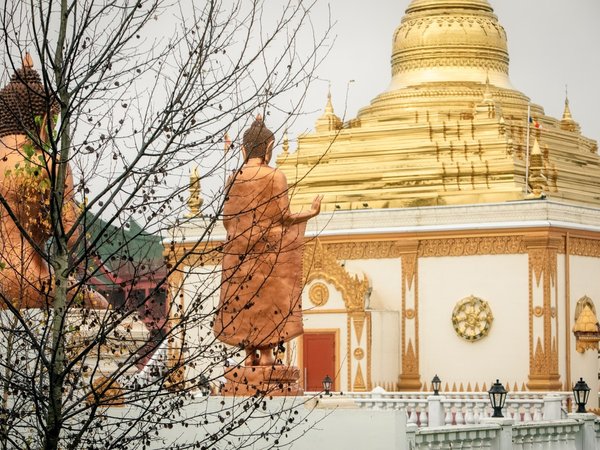 Колядки да пляски, зимние сказки: из Москвы в парк «Этномир» - фото 3