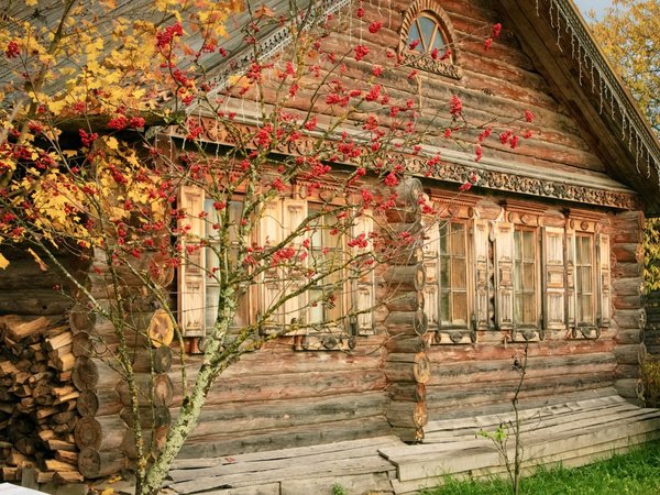 Колядки да пляски, зимние сказки: из Москвы в парк «Этномир» - фото 2