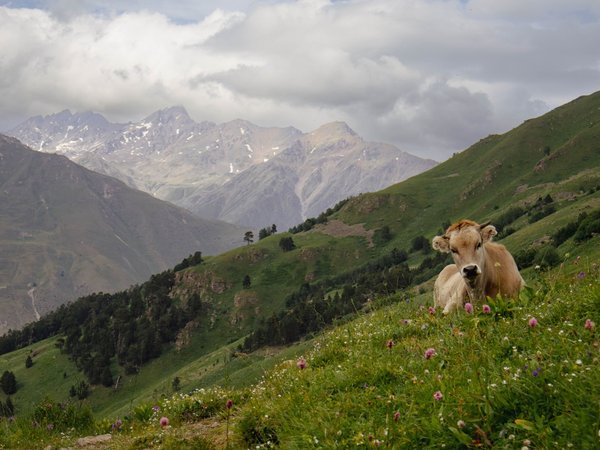 В царство могучих вершин: треккинг по Приэльбрусью с проживанием в отеле - фото 4