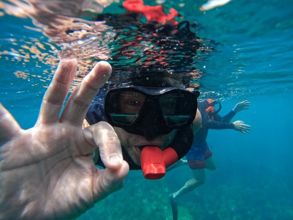 Снорклинг с китовыми акулами в Карибском море - фото 2