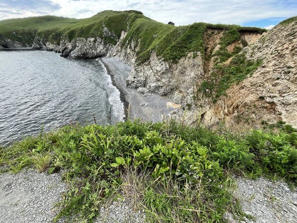 Вся красота полуострова Гамова, тюлени и пляж с чёрным песком - фото 3
