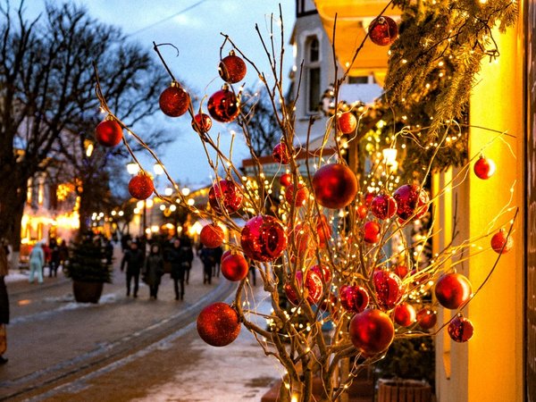 Светлогорск и Зеленоградск — из Калининграда - фото 1