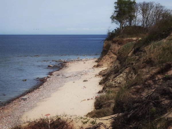 Путешествие по пляжам Балтийского моря для интровертов - фото 3