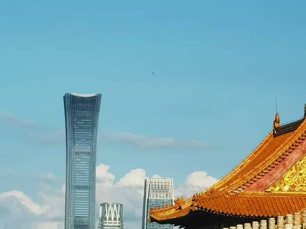 Билет в Запретный город - фото 3