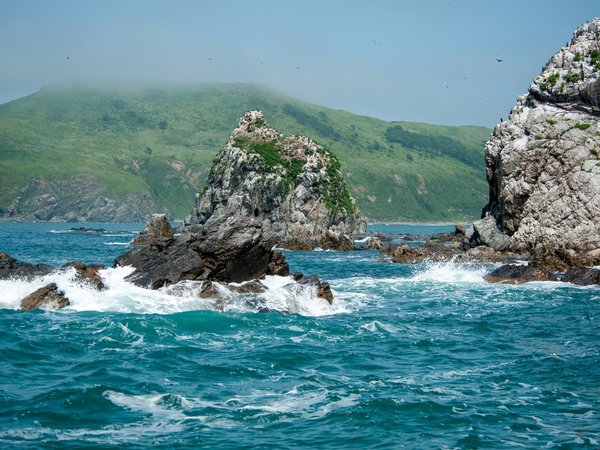 Аскольд, Путятина и морские львы: грандиозное путешествие по Приморью - фото 2
