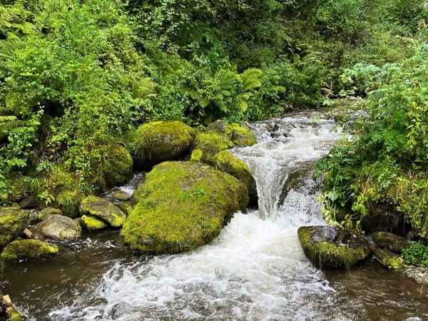 По Телецкому озеру на катере с прогулкой к водопадам (из села Ая) - фото 4