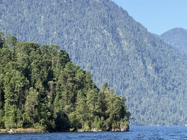 По Телецкому озеру на катере с прогулкой к водопадам (из села Ая) - фото 3