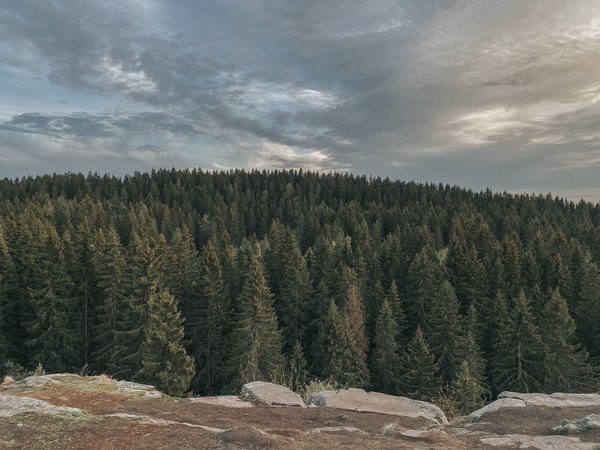 Фотопрогулка в Сортавале - фото 4