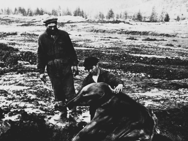 Мобильный квест в Магадане «Мамонтёнок Дима: дело о загадочной гибели» - фото 3