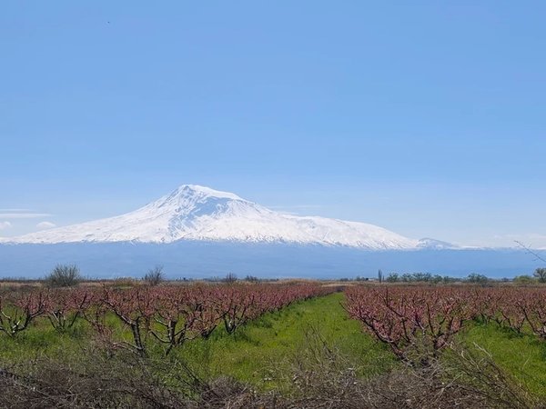 В Нораванк, Джермук и Арени: красота и история южной Армении (из Еревана) - фото 2