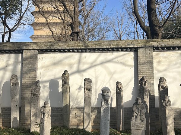 Сиань за один день: от городской стены до Танского квартала - фото 3