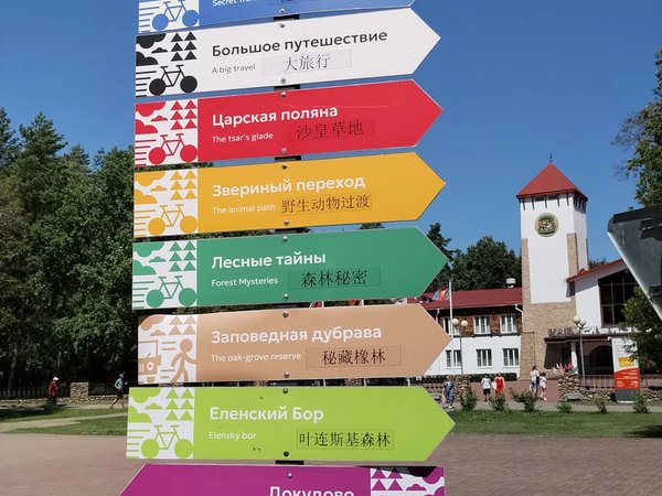 В Беловежскую пущу и Каменец — из Бреста - фото 1