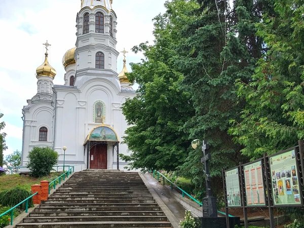В Беловежскую пущу и Каменец — из Бреста - фото 3