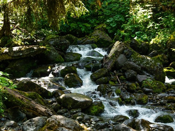 Невероятная Абхазия: из Гагры — к озеру Рица и Гегскому водопаду - фото 2