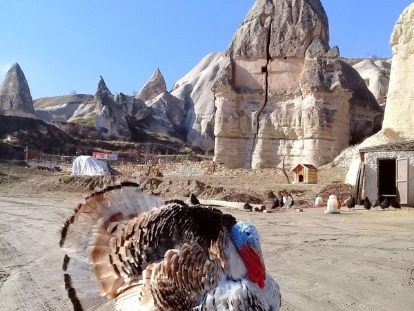 Фантастическая Каппадокия и белоснежное чудо Памуккале, фото 5