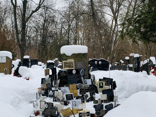 Новое Донское кладбище: трагические страницы истории - фото 4